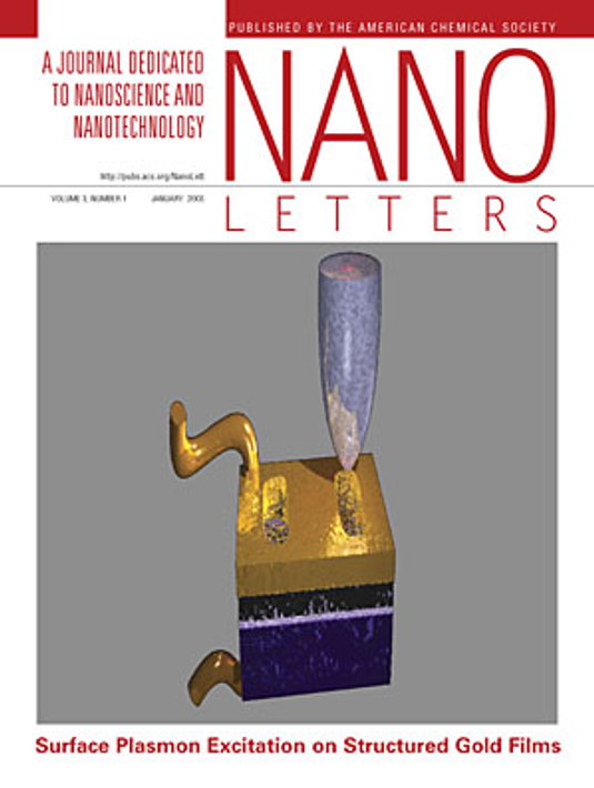 Near-field surface plasmon excitation on structured gold films