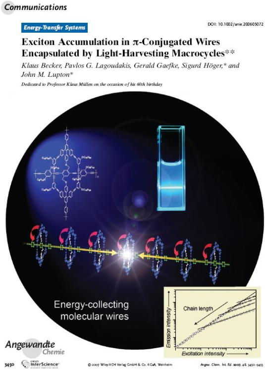 Exciton Accumulation in pi-Conjugated Wires Encapsulated by Light-Harvesting Macrocycles