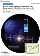 Angewandte Chemie: Exciton Accumulation in pi-Conjugated Wires Encapsulated by Light-Harvesting Macrocycles