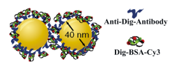 nano bio plasmonics phog lmu