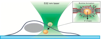 New article about light injection of gold nanoparticles into cells published in Nano Letters